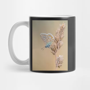 Common Blue Butterfly on a Grass Stalk Mug